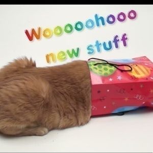 Wow! Check out new stuff in my closet!